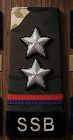 SUB INSPECTOR RANK