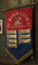 194 MEDIUM REGIMENT WALL BANNER