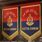 T FLAG ( HQ SPL DG)