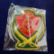 Punjab State Police Cloth Badge