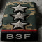 INSPECTOR RANK