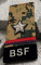 ASI RANK